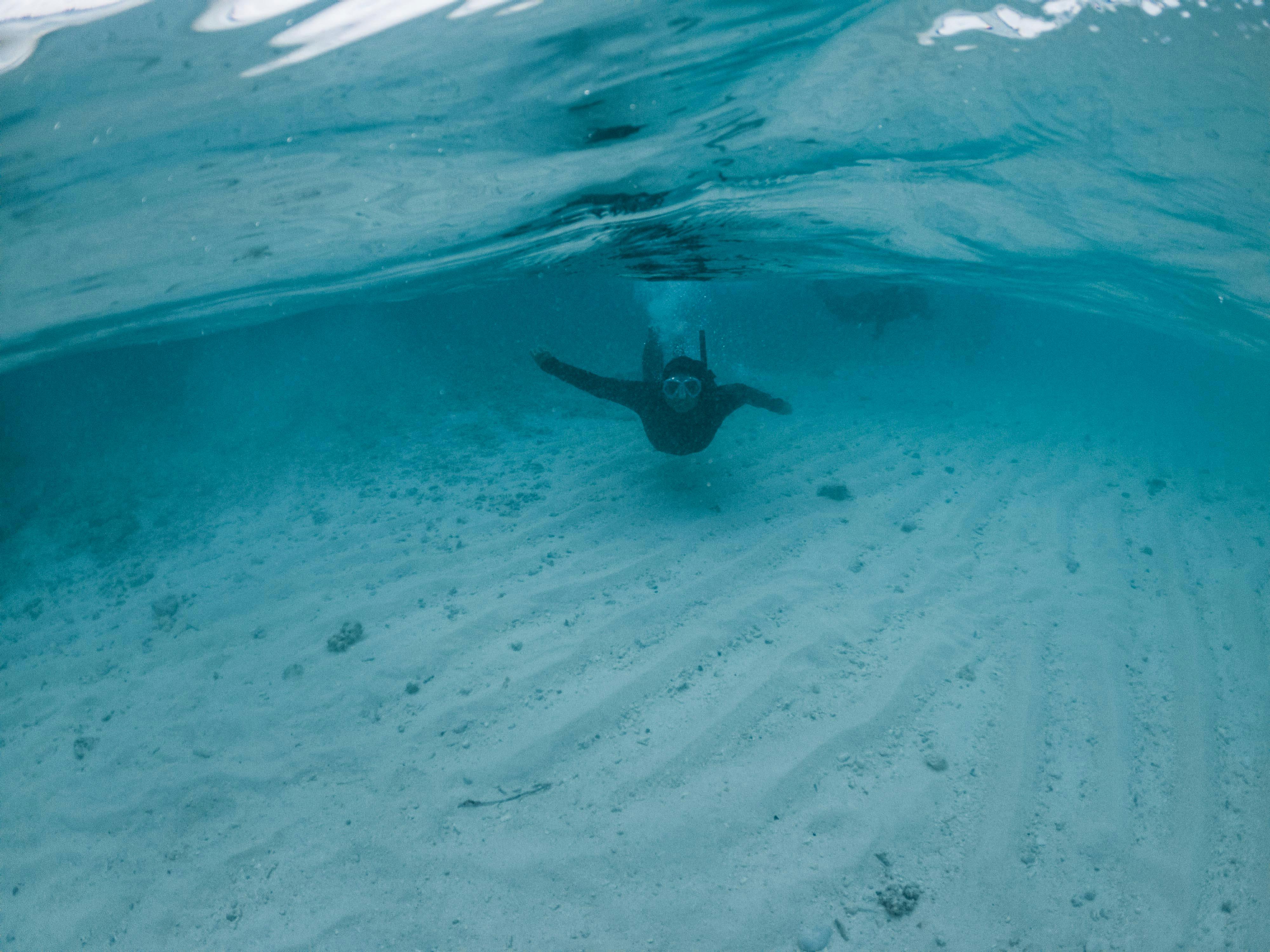 Exploring the Ethics of Aquariums: Making Informed Choices in 2025